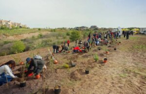 Tim pianta 400 nuovi alberi a Roma per migliorare l’ambiente urbano