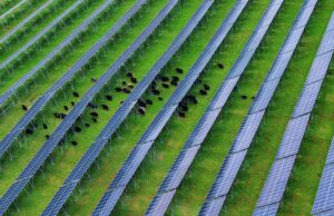 Cina, nel Sichuan attivato importante progetto fotovoltaico ad alta quota