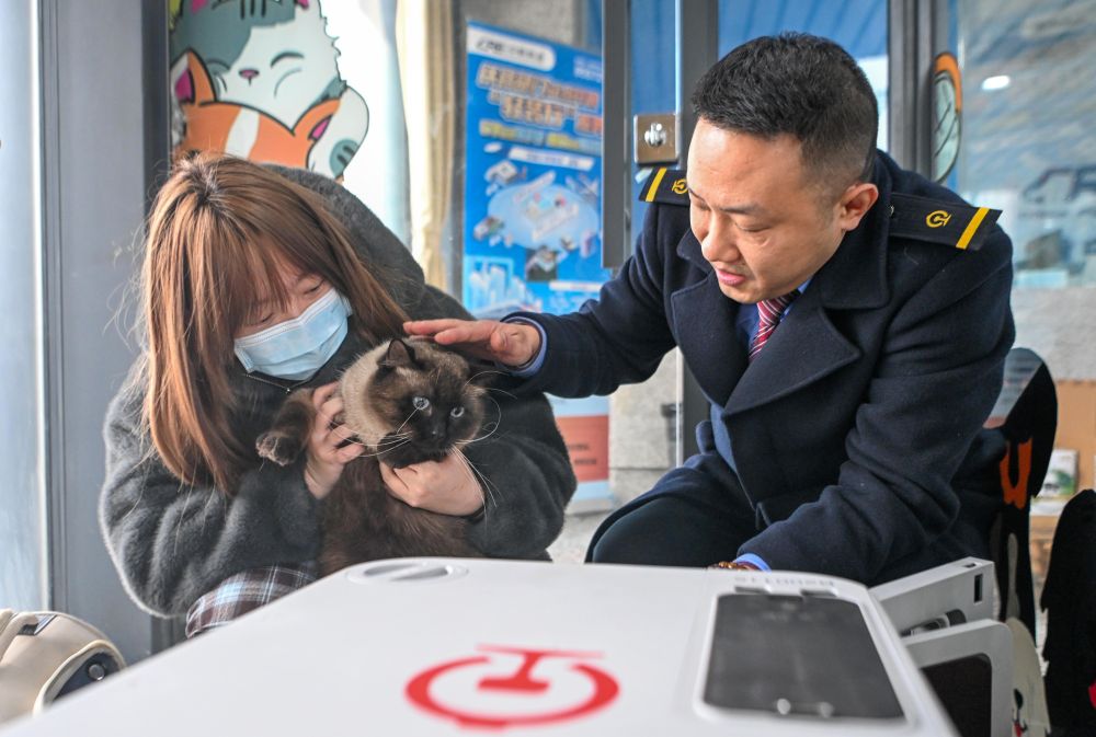 Cina, gli animali domestici adesso possono viaggiare sui treni ad alta velocità