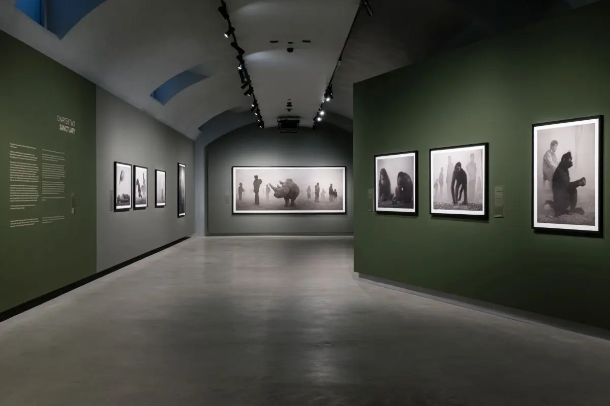 Alle Gallerie d’Italia di Torino la mostra “Nick Brandt”