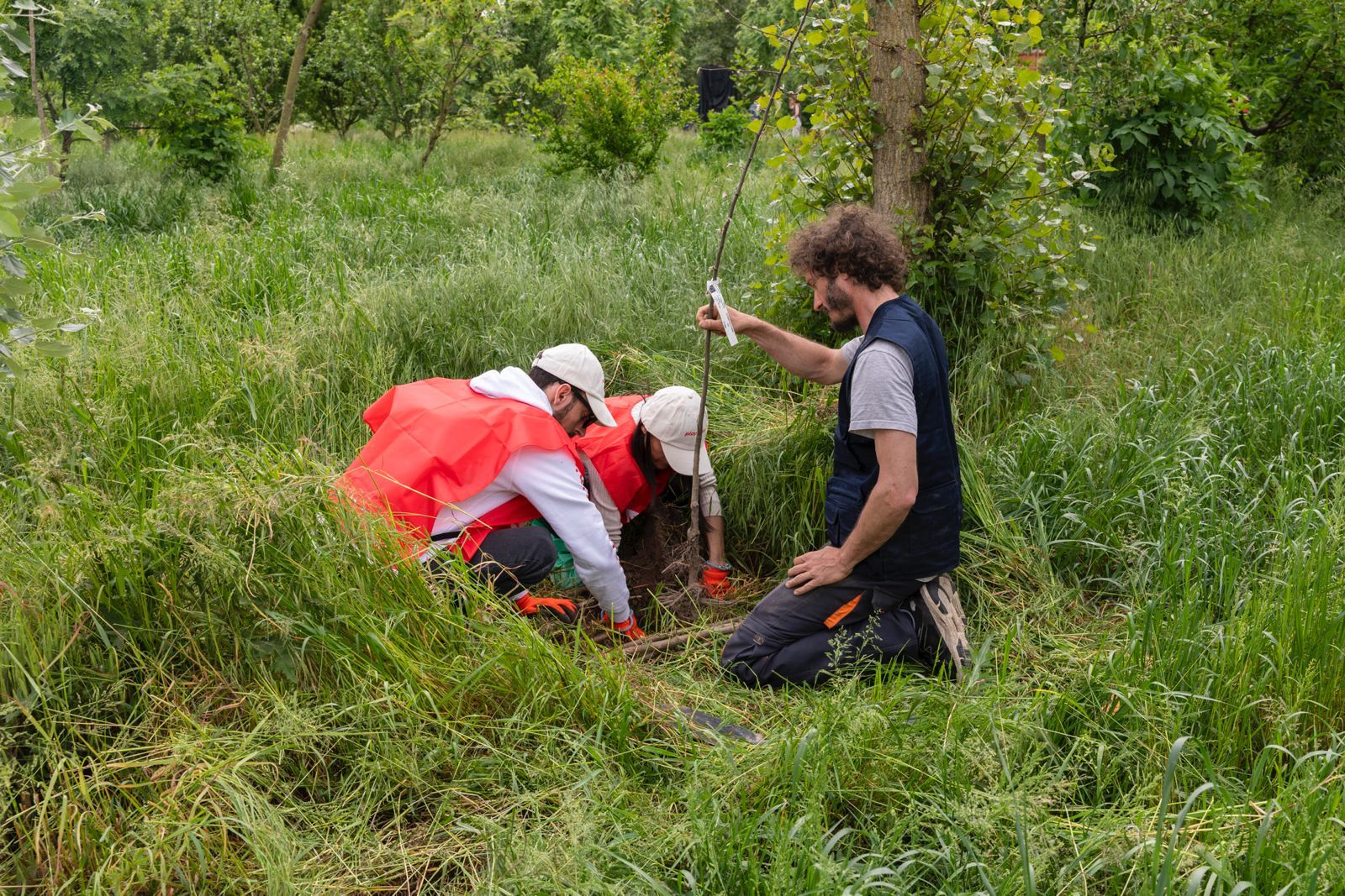Ambiente, il Progetto Boschi di E.ON supera i 150.000 alberi piantati