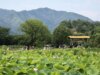 Cina, buoni di consumo per 450 mln di yuan a favore del turismo estivo