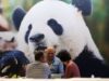 Cina, in aumento dell’11,3% i ricavi dell’industria pubblicitaria