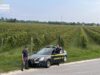 Vendemmia in nero, scoperti 25 braccianti irregolari nel trevigiano